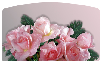 DACRO-063 Bouquet Of Roses Orchid